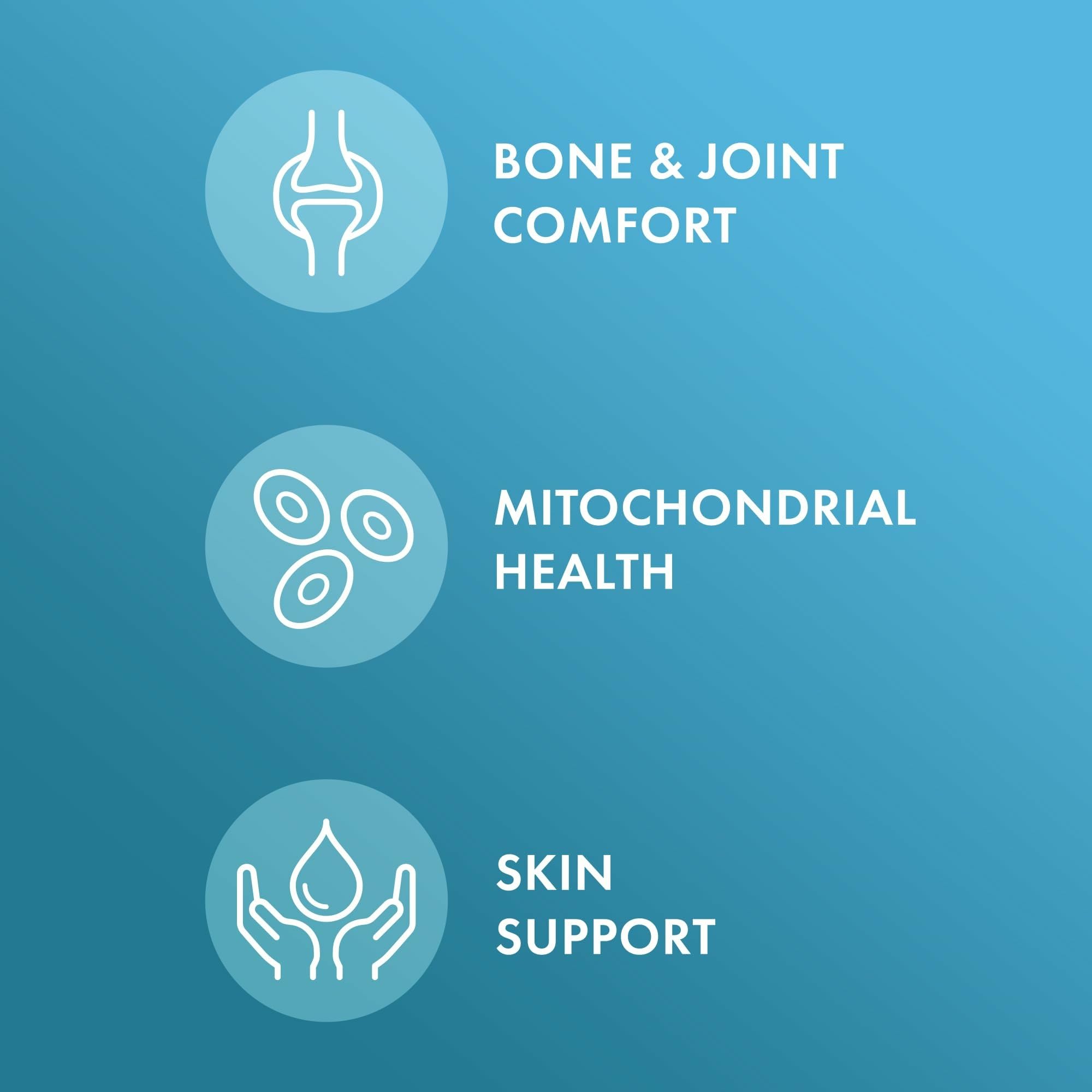 Formule articulations Dr. Mercola avec boswellia indienne pour le confort et la flexibilité.
