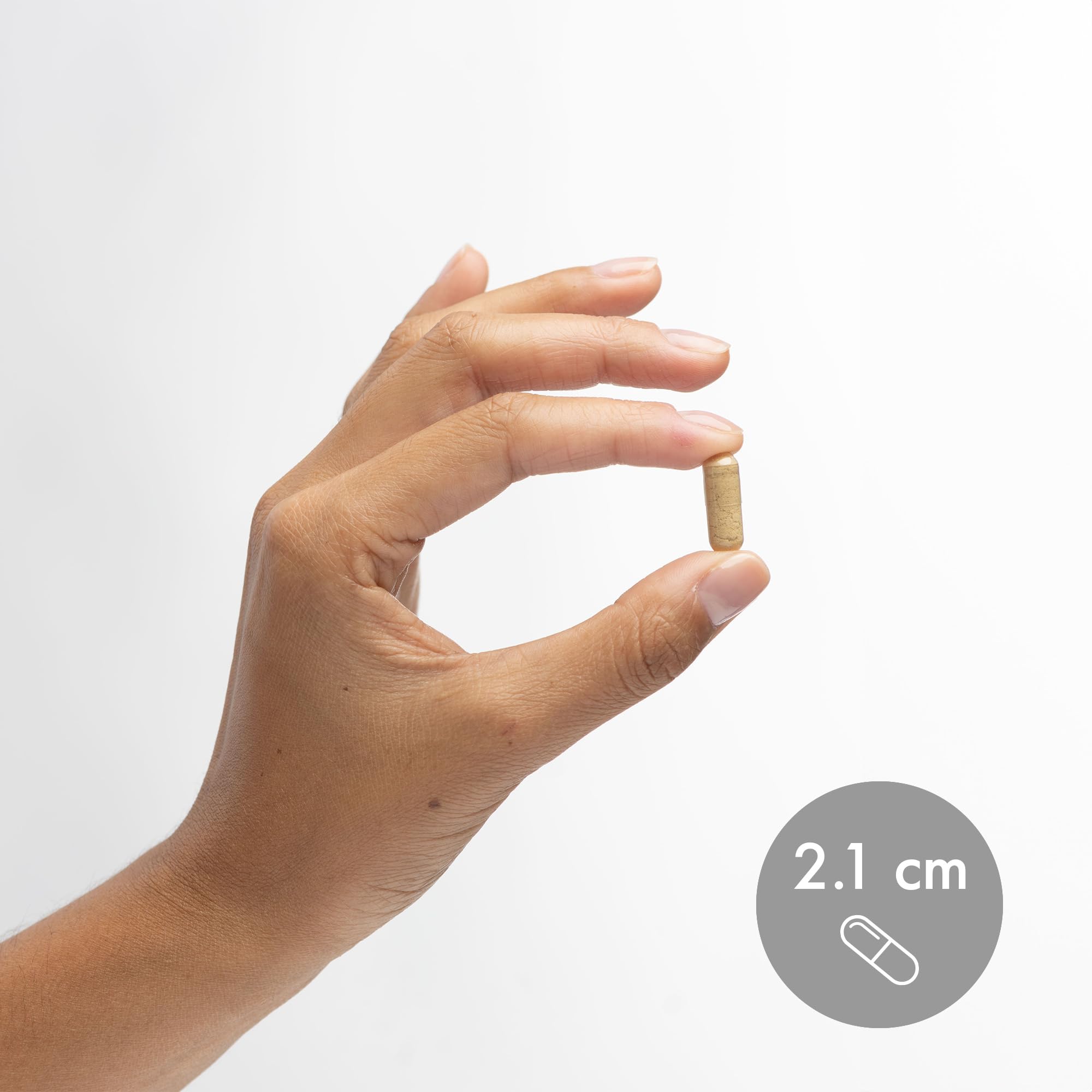 Dr. Mercola Gingembre Fermenté Benegut – Extrait Perilla : soutien du système nerveux pour le stress.