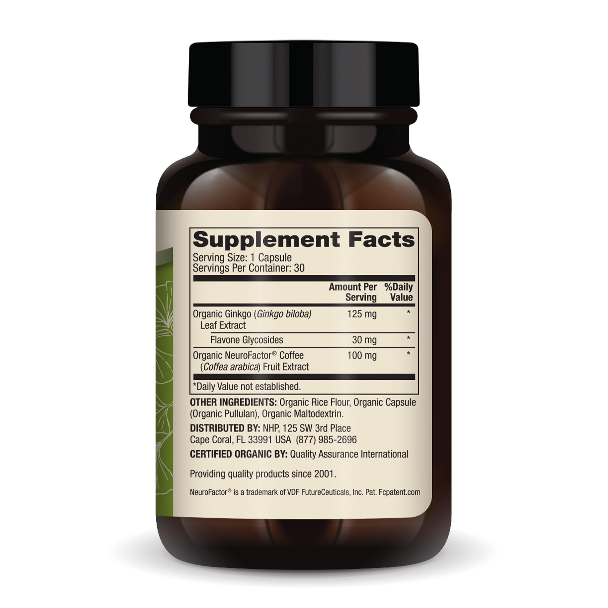 Bouteille Dr. Mercola Ginkgo Biloba avec 30 capsules, pratique pour la routine.