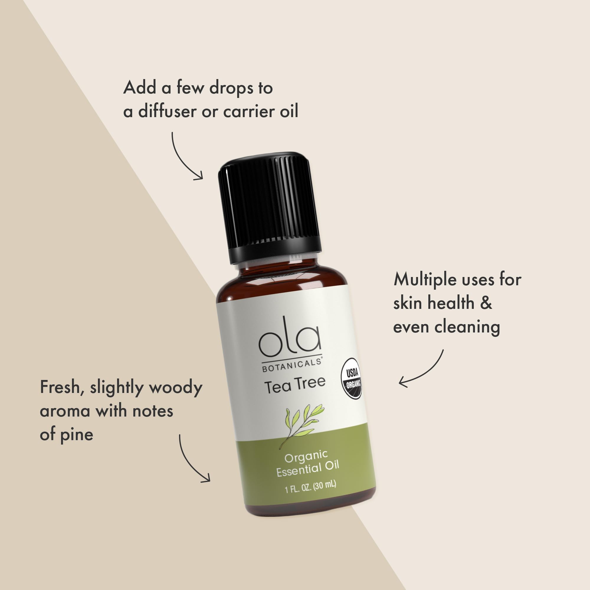 Dr. Mercola huile essentielle arbre à thé — feuilles fraîches évoquant une ambiance naturelle.