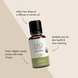 Dr. Mercola huile essentielle arbre à thé — feuilles fraîches évoquant une ambiance naturelle.