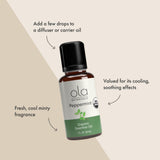 Dr. Mercola menthe poivrée — application diluée sur peau pour sensation fraîche