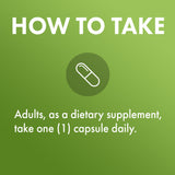 Dr. Mercola Methyl Folate — conseils d’utilisation : intégration simple dans la routine.