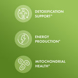 Dr. Mercola Methyl Folate — dosage 5 mg : approche pratique pour l’équilibre des voies métaboliques.