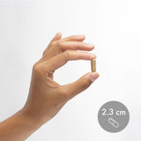 Dr. Mercola Methyl Folate — utilisation quotidienne : usage soutenu et pratique.
