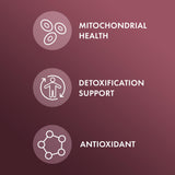 Pousses de brocoli en poudre associées à la NAC Dr. Mercola – complément nutritionnel