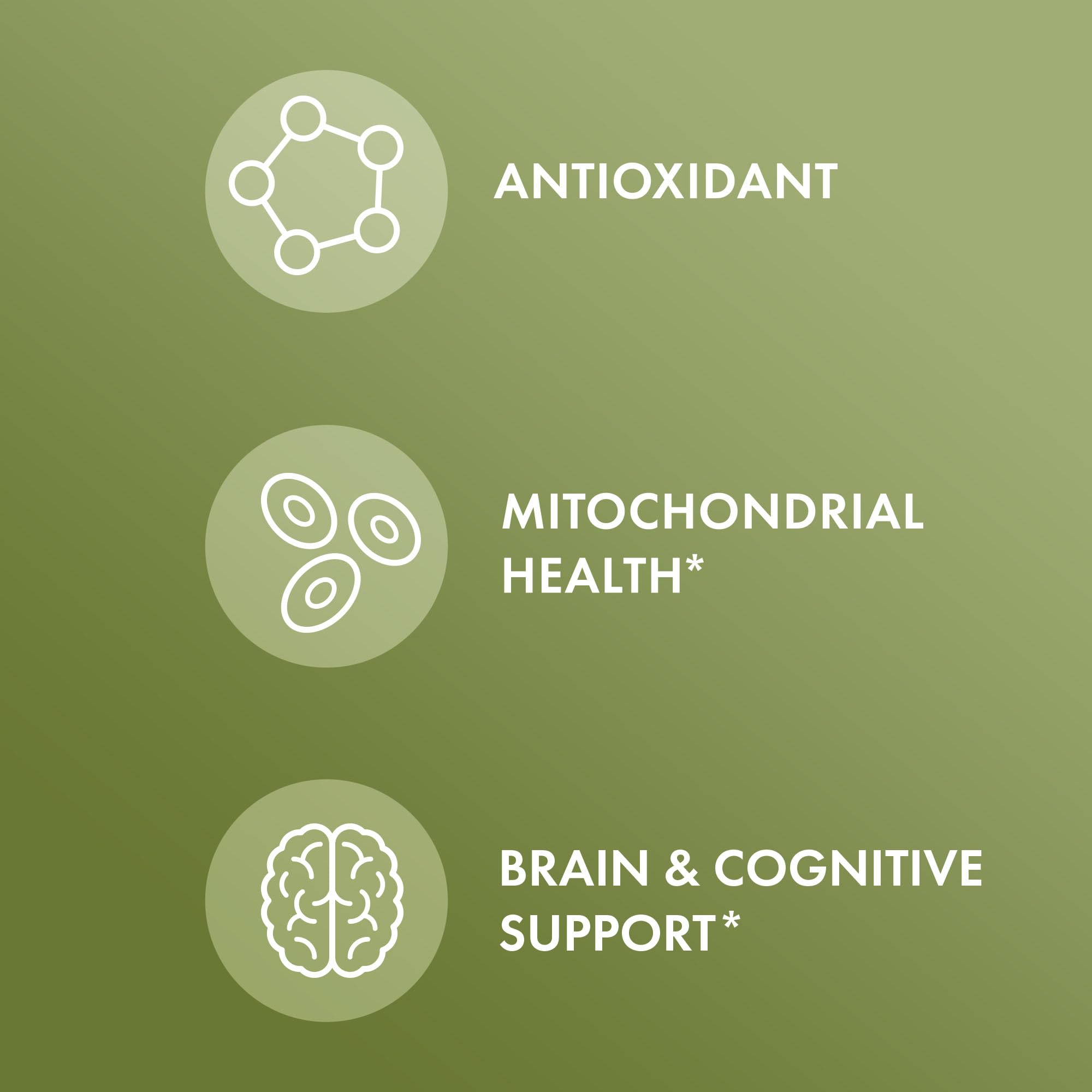 Extrait NeuroFactor Café-Fruit Dr. Mercola, peut soutenir les signaux cérébraux.