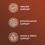 Dr. Mercola Reishi, dosage 500 mg par portion pour simplicité d'utilisation.