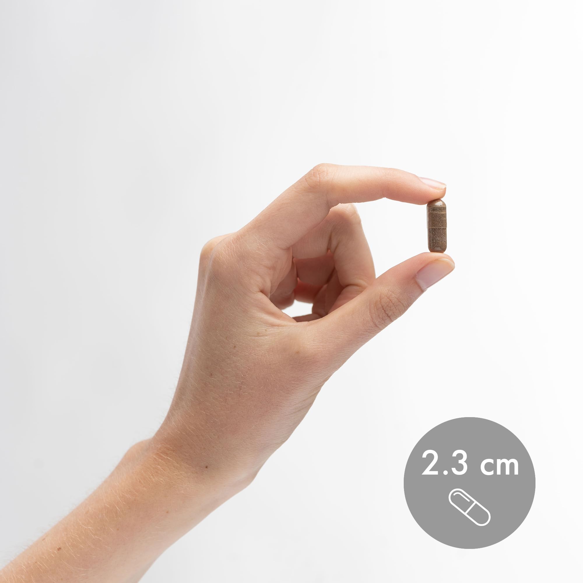 Dr. Mercola Rhodiola Extract – dose quotidienne prête à intégrer