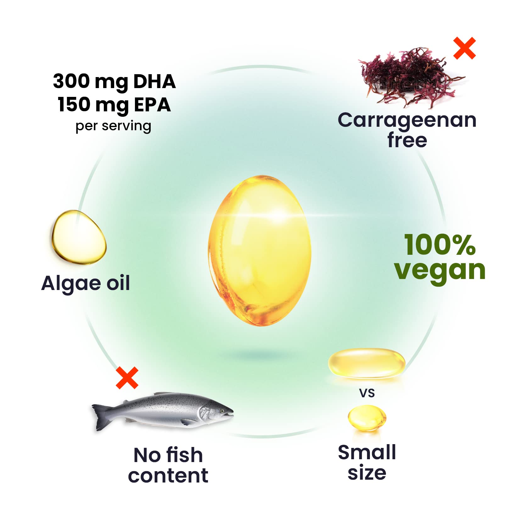 DR. MORITZ Omega-3 vegan - gélules faciles à avaler pour la concentration.