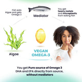 DR. MORITZ Omega-3 vegan - étui et étiquette clairs, ingrédients vegan.