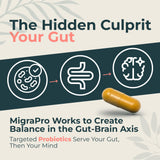 Dr. Munnerlyn MigraPro – sans gluten pour les régimes végétariens