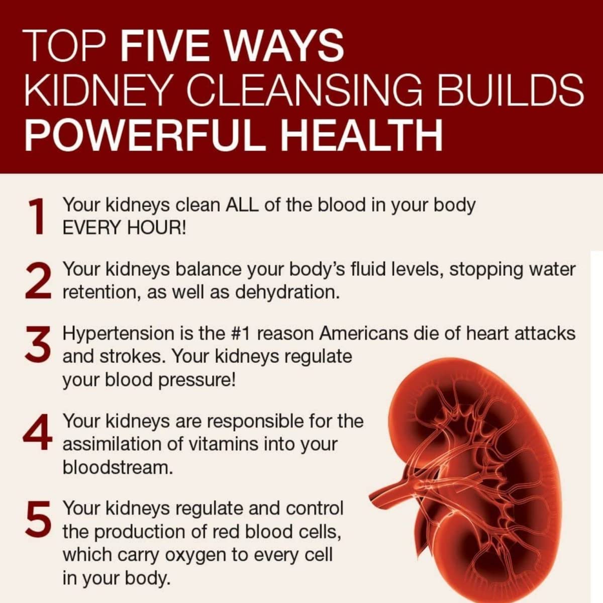Dr. Schulze's 5 Day Kidney – ingrédients naturels mis en avant sans additifs.