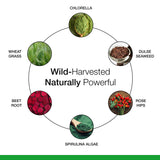 Dr. Schulze's SuperFood Plus — ingrédients sauvages pour soutien nutritionnel.