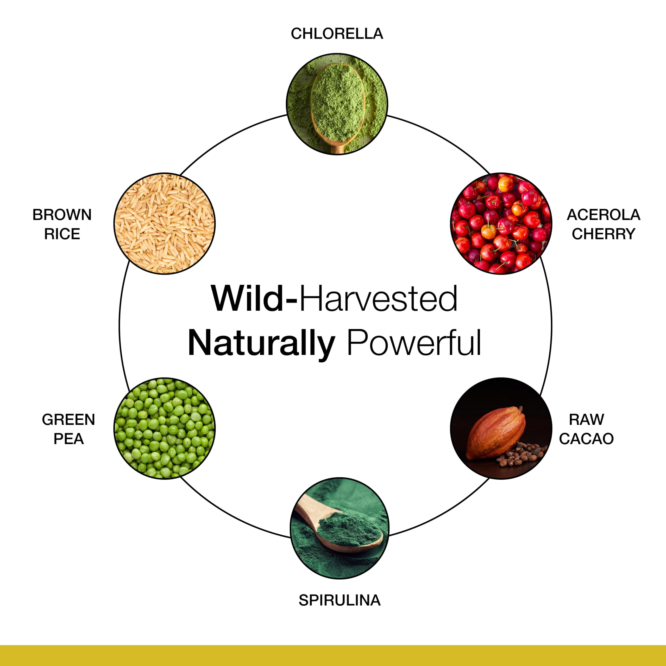 Ingrédients vegan et bio Dr. Schulze’s SuperProtein Plus, étiquette informative