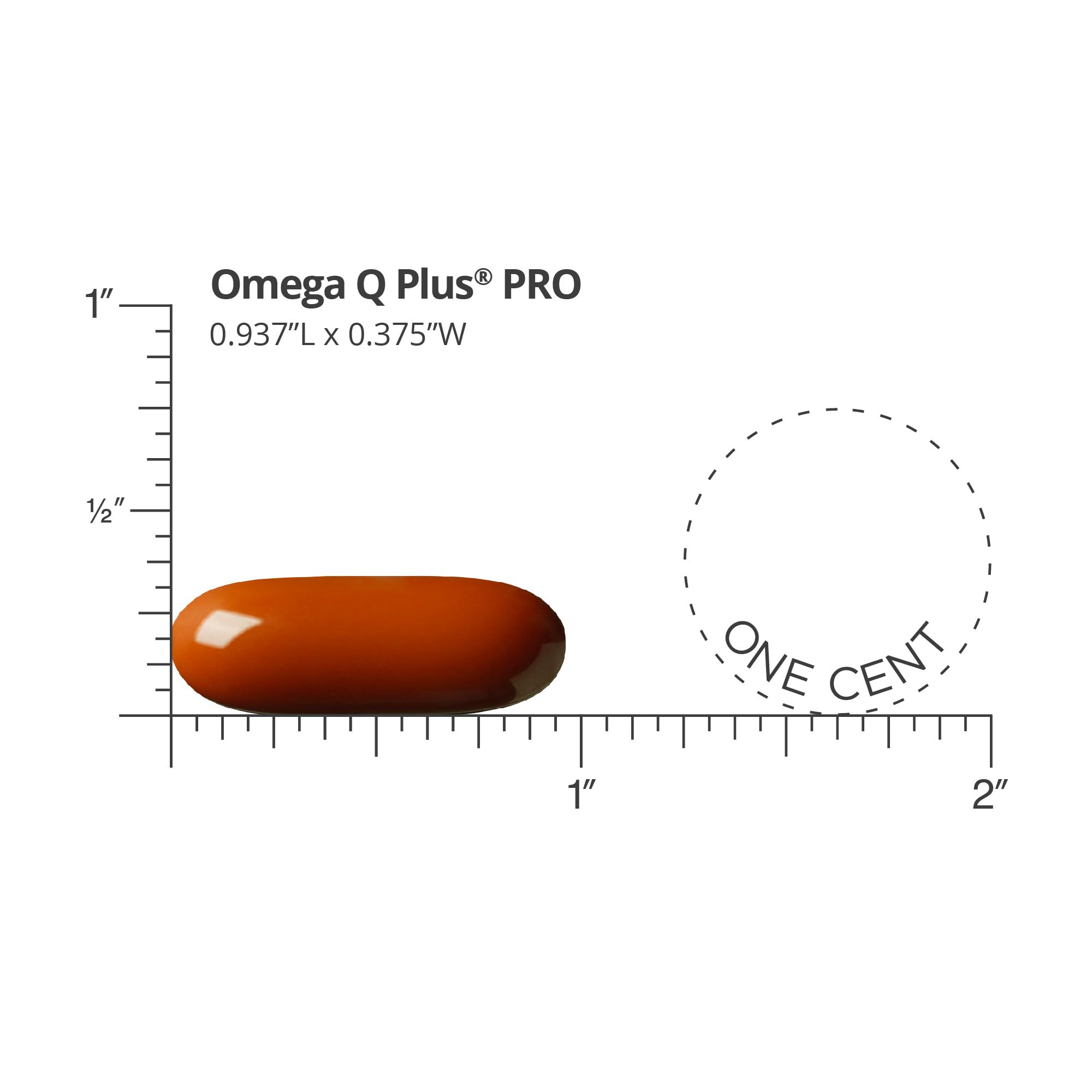 Dr. Sinatra Omega Q Plus Pro — étui et boîte pour un usage quotidien pratique.
