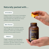 Ingrédients-chaga-polyphenols-beta-glucanes: composants naturels du produit.