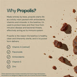 Dr Sosnowski's Propolis extrait 5-1, extrait concentré utile au dosage.