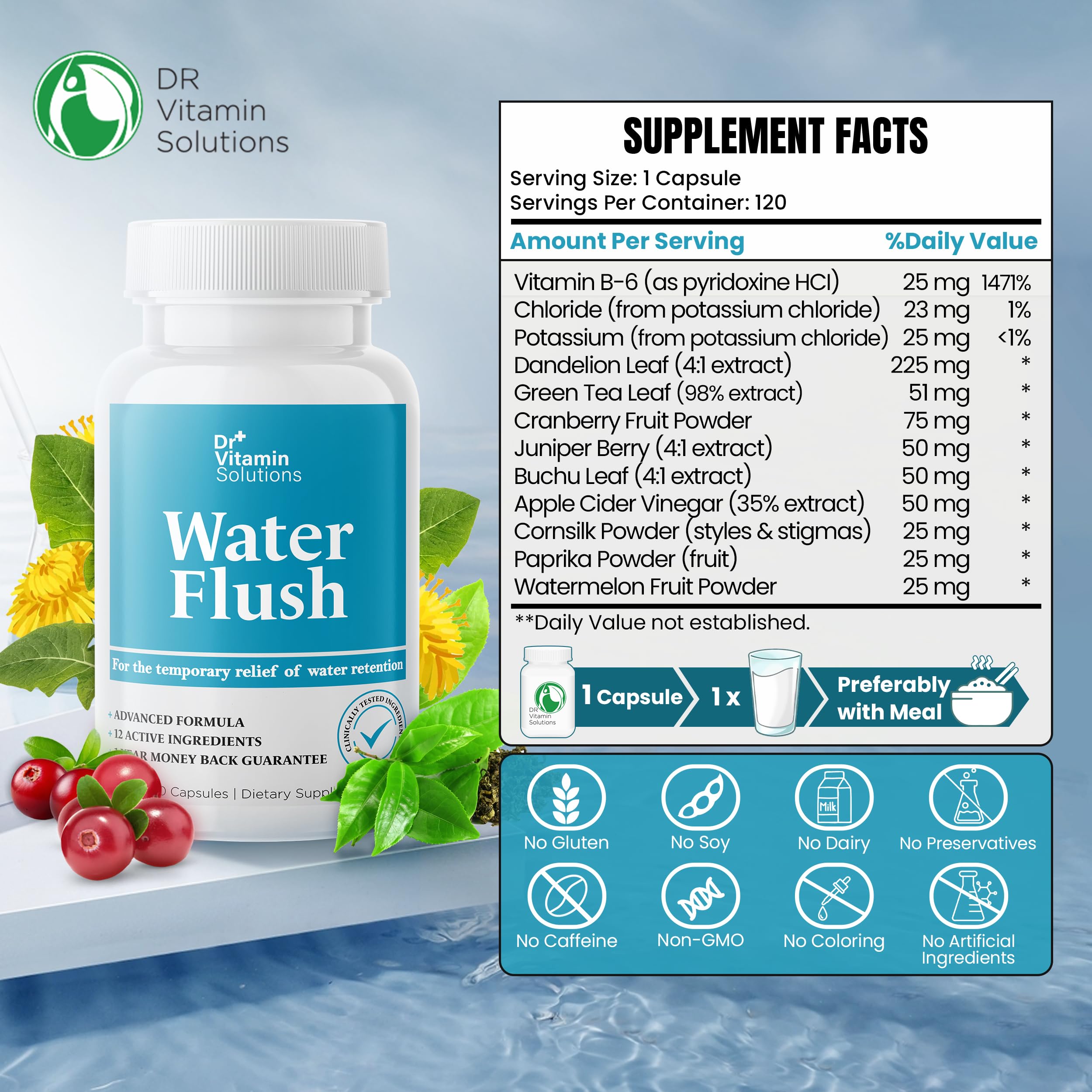 DR VITAMIN SOLUTIONS: capules-extrait thé vert, soutien énergie légère.