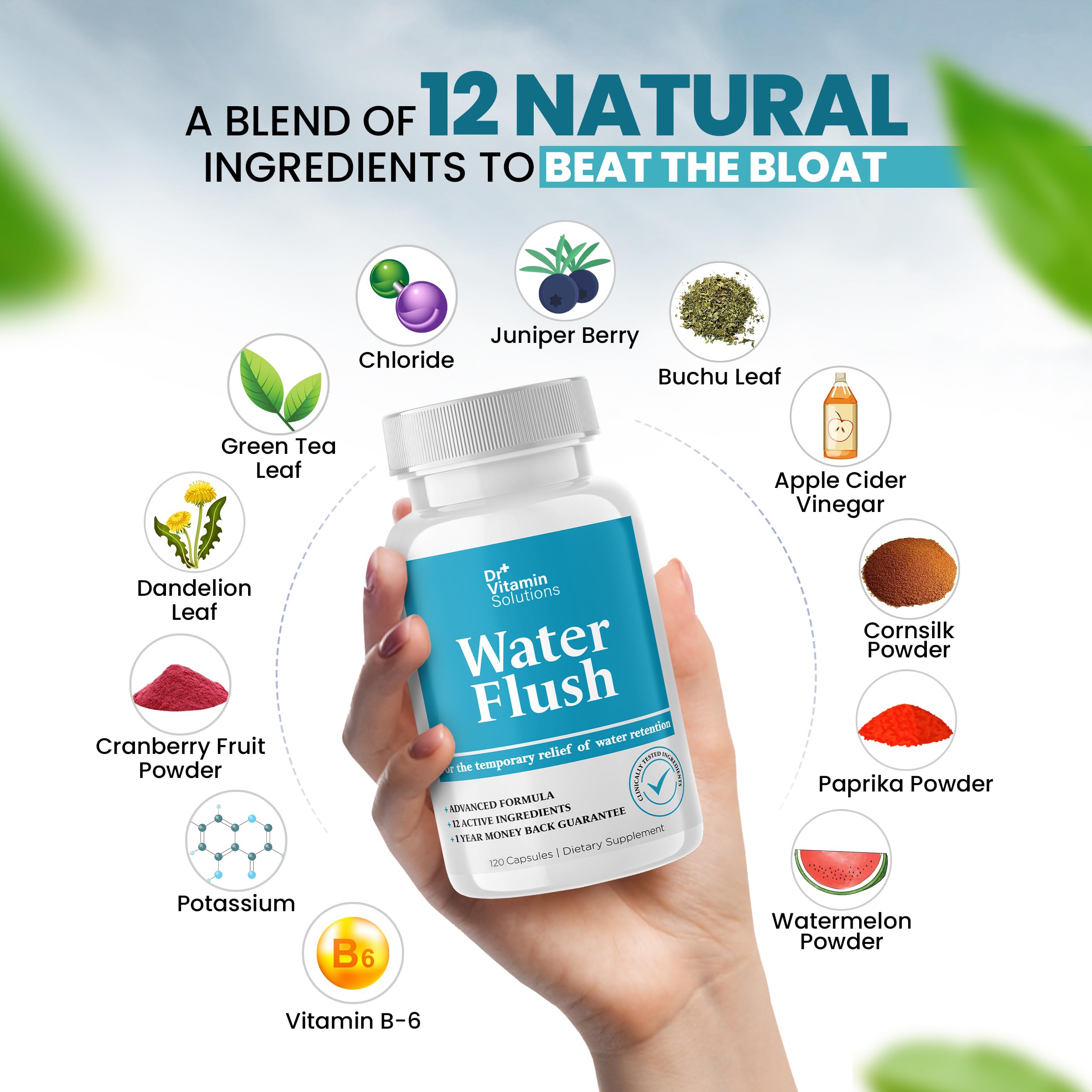 DR VITAMIN SOLUTIONS: capules-feuilles de pissenlit, aide potentielle détox.