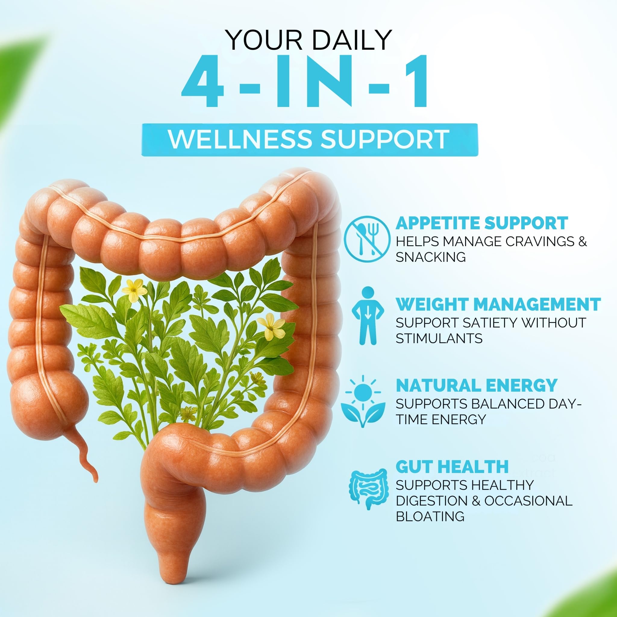 DR VITAMIN SOLUTIONS GLP-1 probiotiques – capsule transportable pour la vie active.