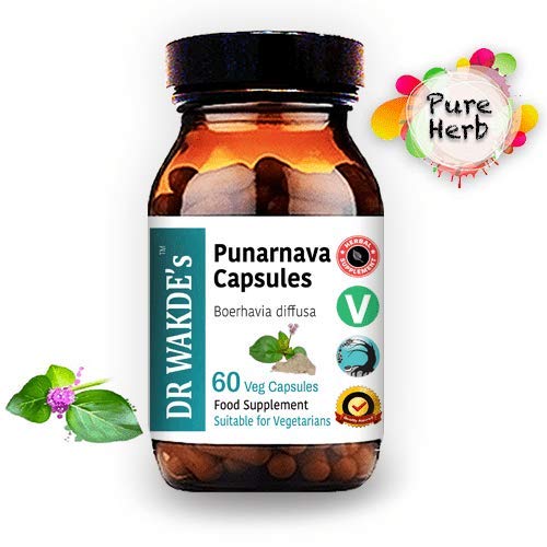 DR WAKDE'S Punarnava capsules ingrédients naturels visibles dans l'emballage
