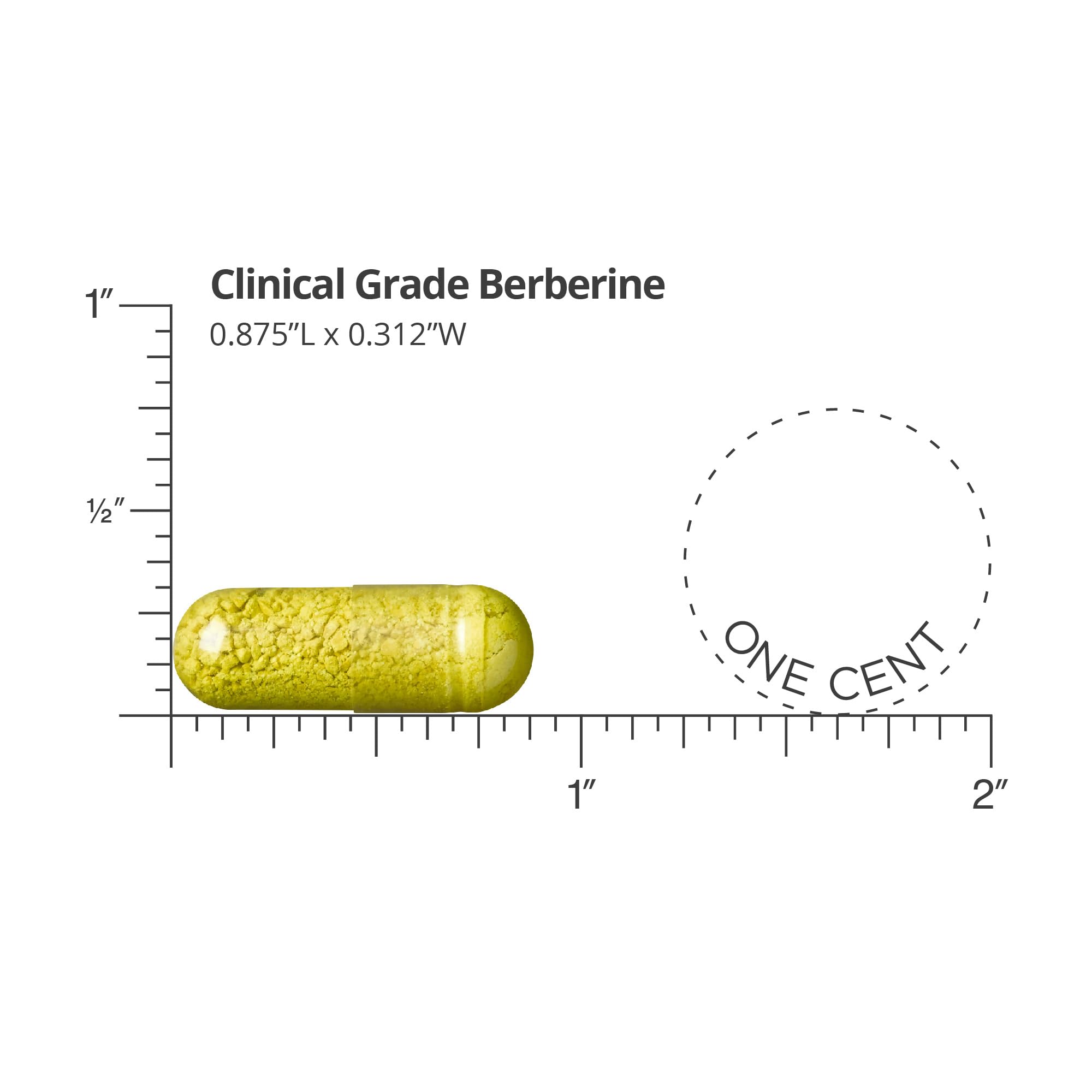 Gélules Berberine DR.WHITAKER réunies, format pratique pour dosage quotidien.
