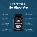 Dragon Herbs He Shou Wu: capsules 500 mg faciles à intégrer dans la routine.