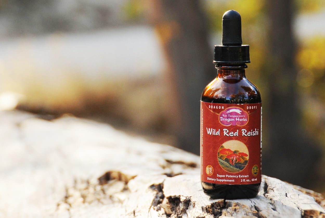 Dragon Herbs Reishi Sauvage: utilisation en rituel quotidien pour soutenir le bien-être.