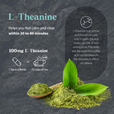 Bouteille Tao de Dragon Herbs, prise quotidienne suggérée pour routine.