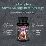 Capsules Tao de Dragon Herbs en gros plan, dosage recommandé pour routine quotidienne.