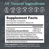 Étiquette Tao de Dragon Herbs, informations de composition et usage.