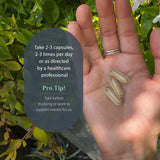 Ingrédients denses des herbes toniques Dragon Herbs, source d'adaptogènes.
