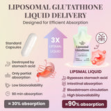 Texture souple du Liposomal Glutathione DRALYTHIO NEXA, ingestion facilitée.