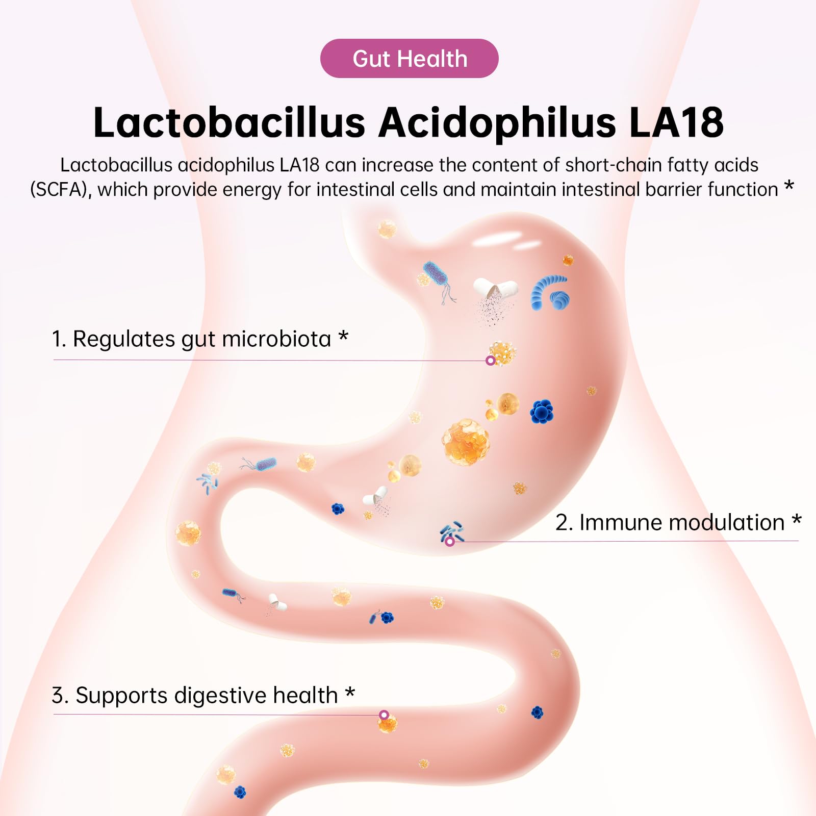 DrBioCare Ashwagandha et canneberge: gestion potentielle du stress et immunité féminine.