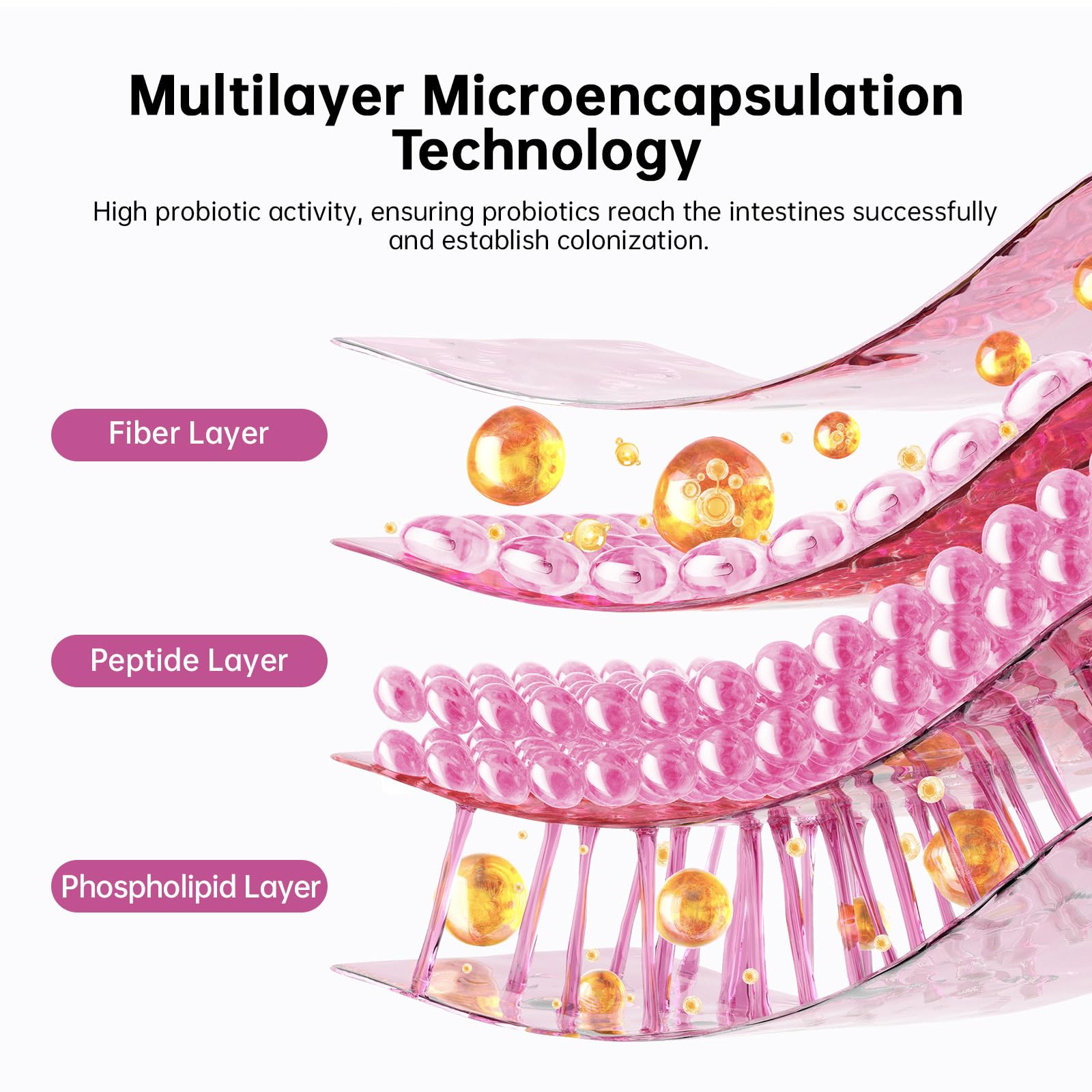 DrBioCare Dosage: 20 milliards de CFU par dose, capsules faciles à prendre.