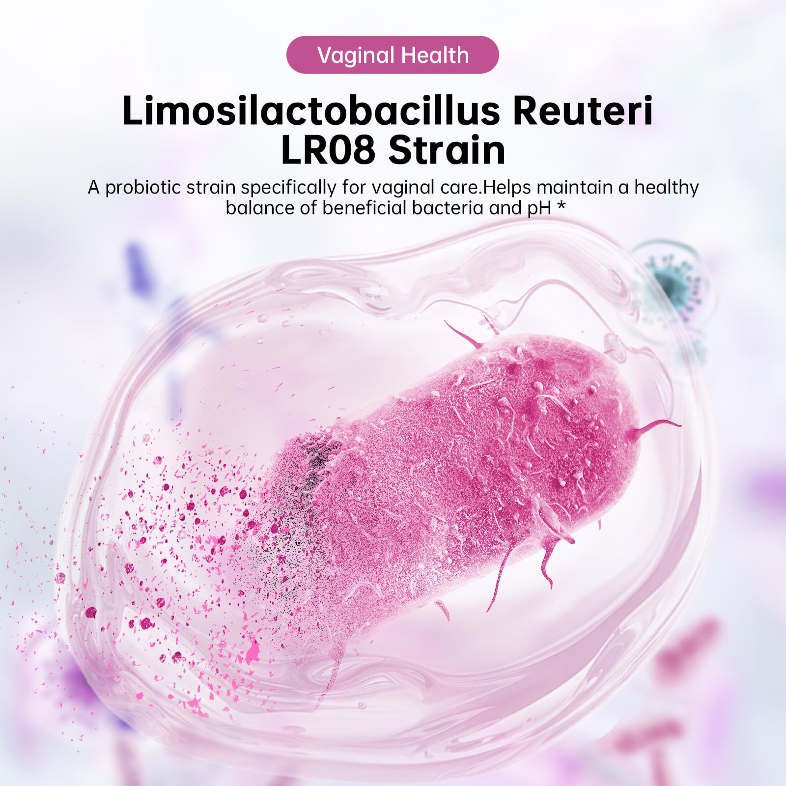 DrBioCare Lactobacillus acidophilus LA18 et Bifidobacterium WKB148: soutien digestif et absorption.