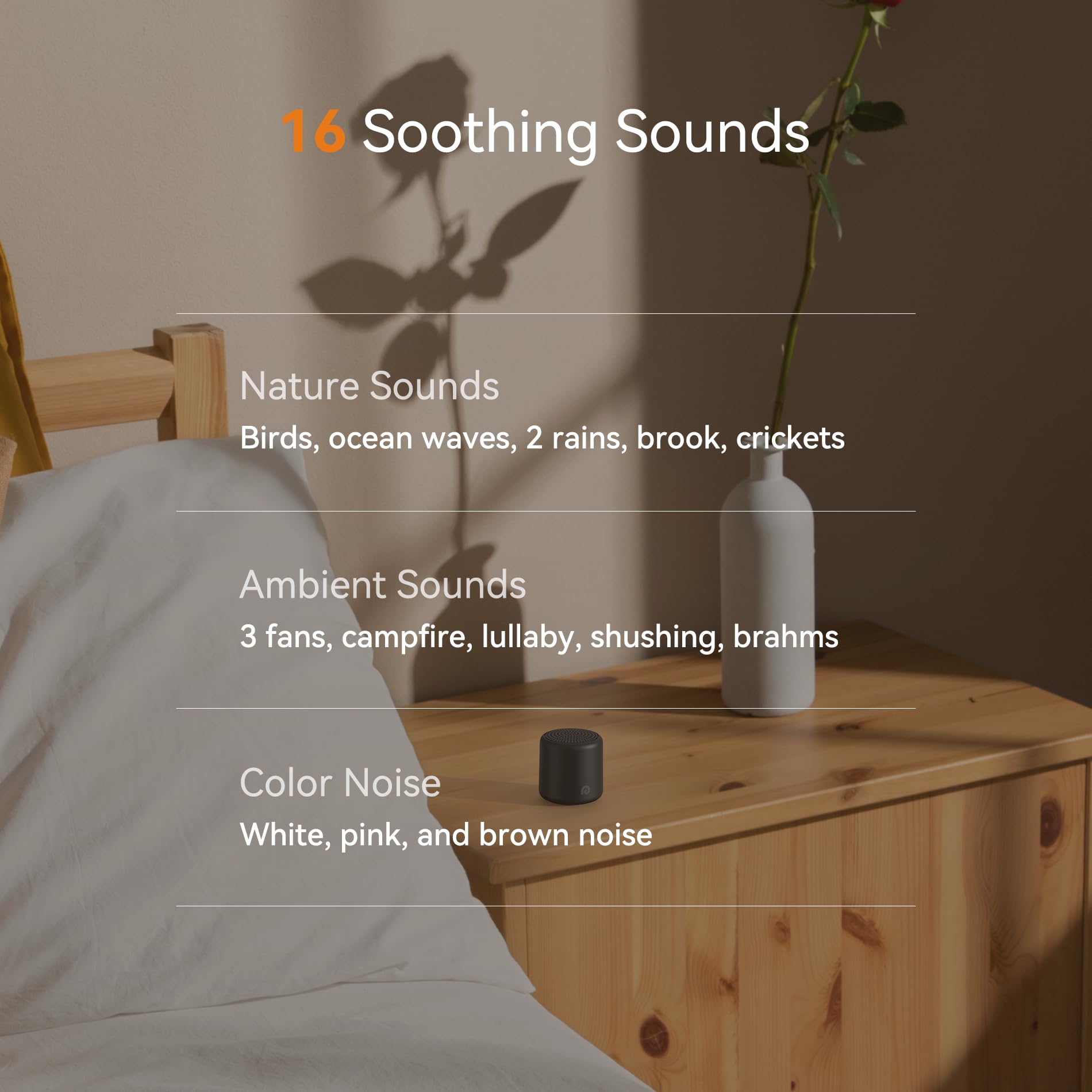 Dreamegg minuterie et mémoire intégrées pour un usage nocturne pratique.
