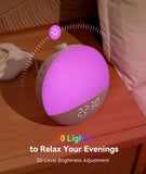 Dreamegg Sunrise 2 – solution tout-en-un sans abonnement.