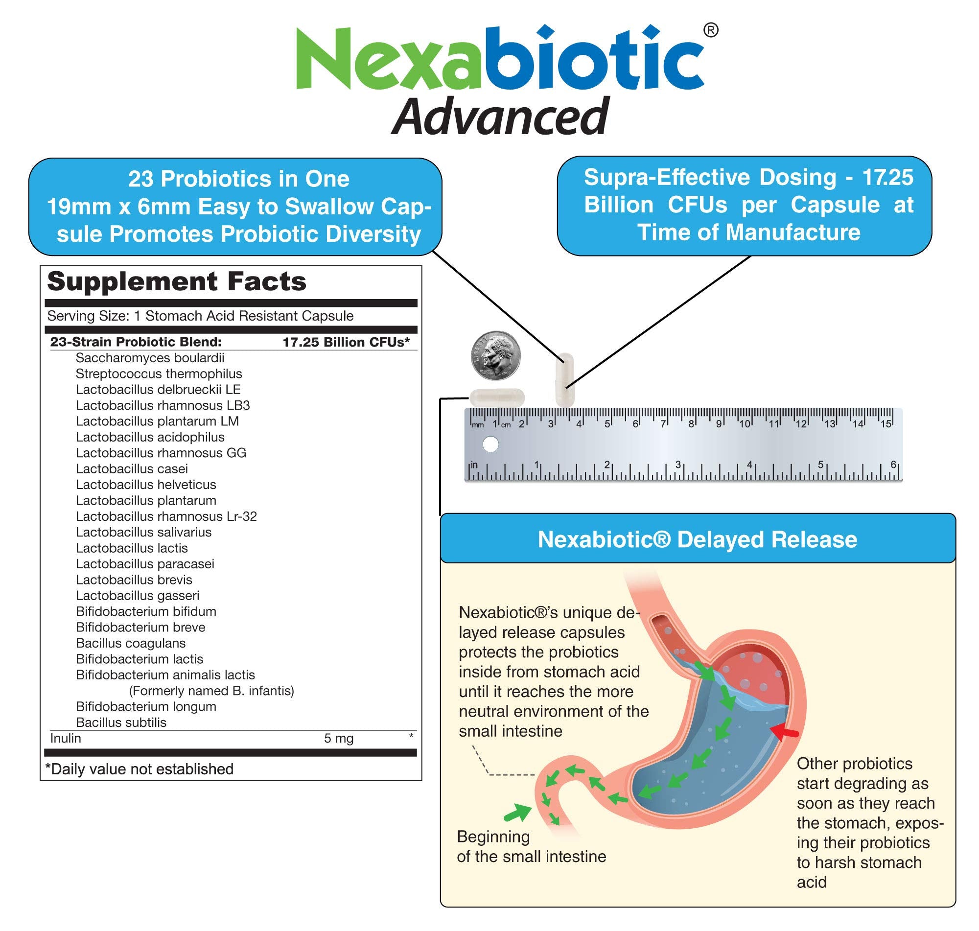DrFormulas Nexabiotic Lactobacillus rhamnosus favorisant le confort digestif.