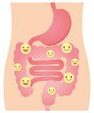 DrFormulas Nexabiotic utilisation quotidienne pour le bien-être intestinal.