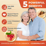 DRFOSTER Berberine HCL 1500 mg – cannelle Ceylan apporte un arôme doux et naturel