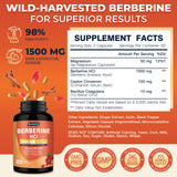 DRFOSTER Berberine HCL 1500 mg – gélules pratiques pour la routine bien-être quotidienne