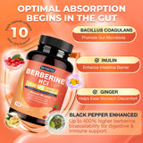 DRFOSTER Berberine HCL 1500 mg – probiotiques pour l équilibre digestif