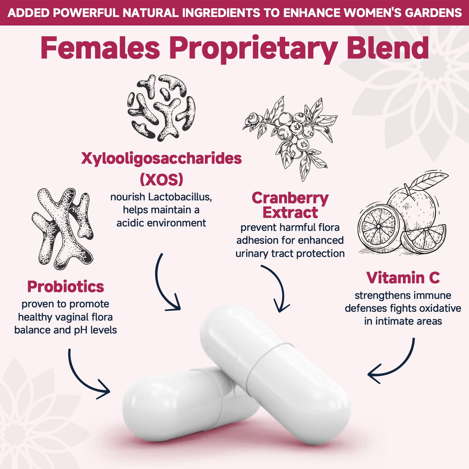 DRFOSTER: capsules probiotiques, flore vaginale et digestion possibles.