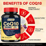 Huile MCT et pépins de raisin avec DRFOSTER CoQ10 facilitant l'absorption lipophile