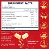 DRFOSTER CoQ10 PQQ Shilajit – Capsules soutenant les mitochondries et l'énergie.