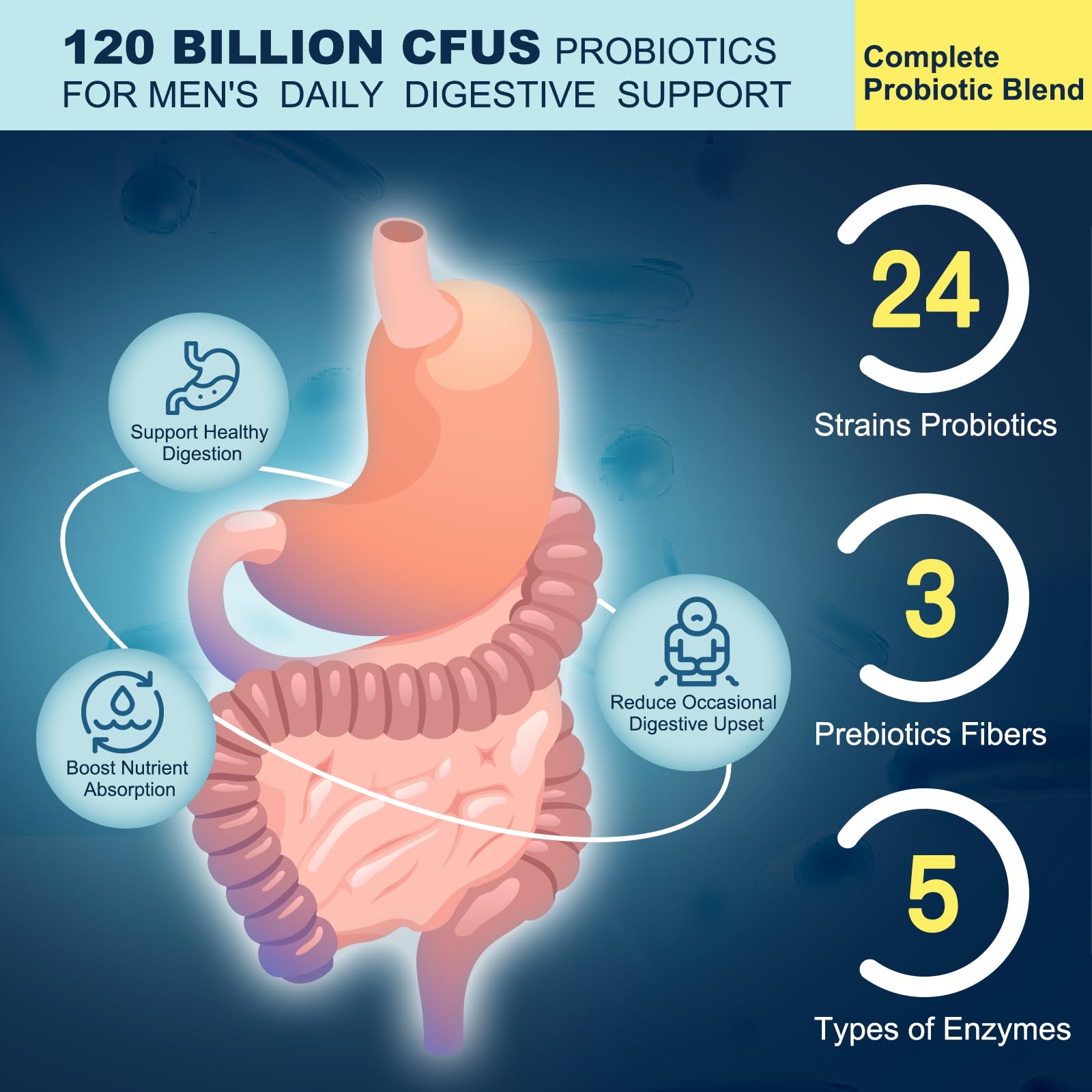DRFOSTER Probiotiques pour homme: ingrédients actifs soutenant l'équilibre intestinal.