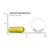Comprimés Berberine Dr. Whitaker présentés en paquet, dosage pratique.