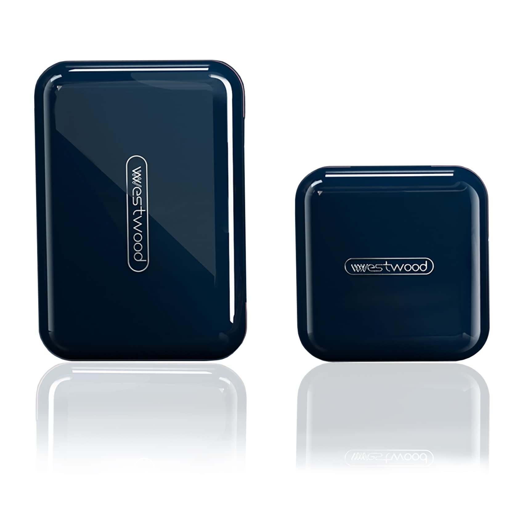 DUBSTAR organise les pilules de voyage en bleu, pratique et portable.
